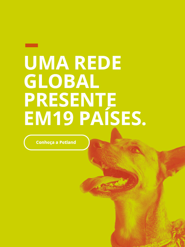 Pet Shop Perto de Mim Banho e Tosa Agendar Vila Brasil - Banho e